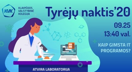 Kaip gimsta informacinių technologijų programos?